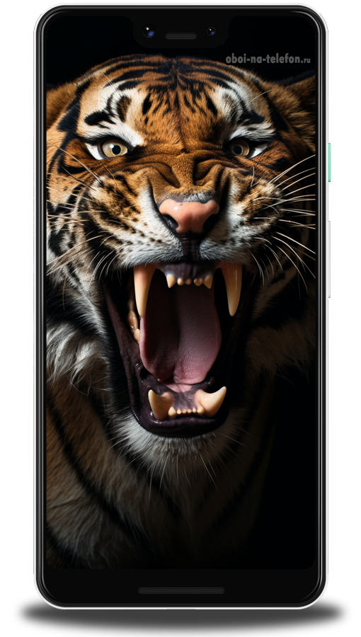  Обои на телефон Обои с черным фоном с изображением рычащего тигра, очень эмоциональная фотография для целеустремлённых людей.