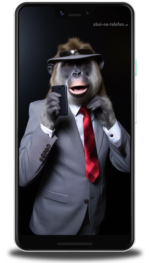  Скачать обои на телефон бесплатно Обои для людей с чувством юмора, обезьянка похожая на человека снимает себя на селфи камеру. 