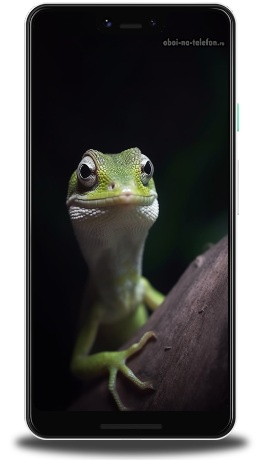  Обои на телефон Темные обои с изображением геккона, такого милого и симпатичного, что можно смотреть на него целую вечность. 