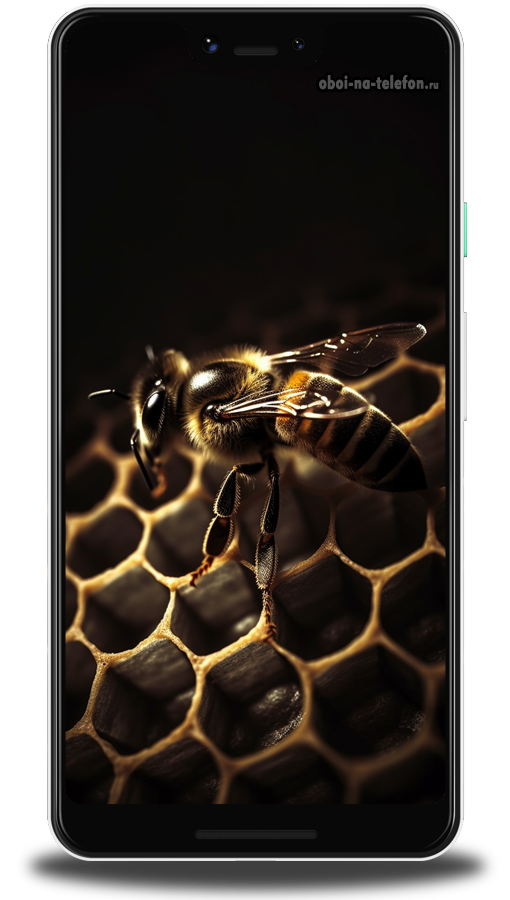  Обои на телефон Черные  обои с изображением пчелы стоящей на сотах, умопомрачительная детализация, видны даже волоски на лапках.