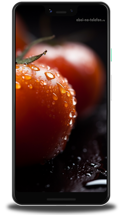  Обои на телефон Черные обои с изображением помидоров опрысканных водой, капельки воды стекают по томатам. Картинка дышит свежестью