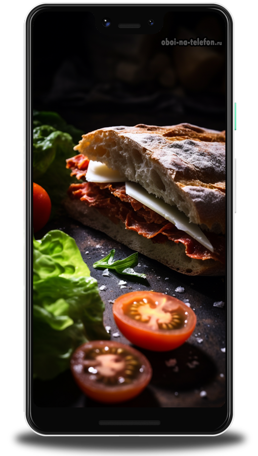  картинка панини с томатом итальянский сендвич 